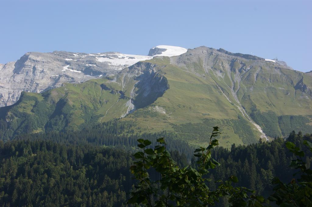 Hotel Schweizerhof Engelberg Extérieur photo